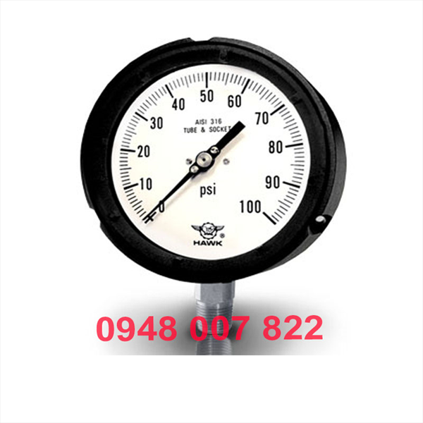 Đồng hồ đo áp suất 11L11B (HAWK)