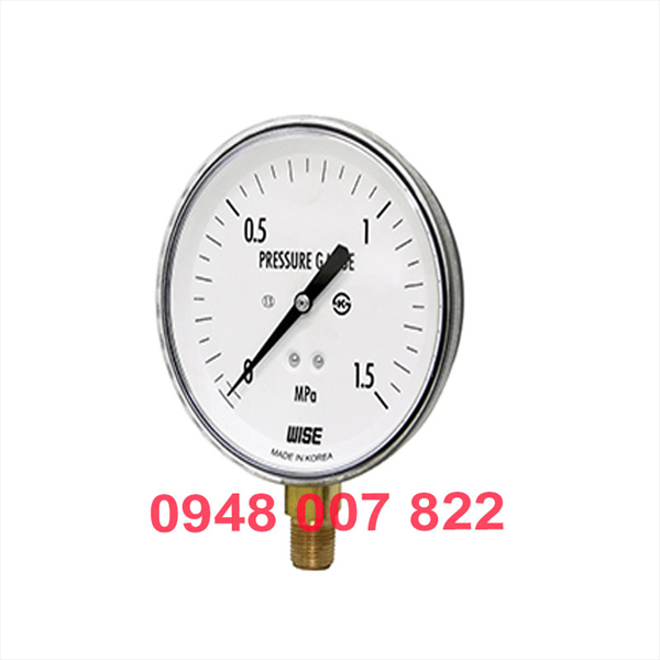 Đồng hồ đo áp suất P140 (WISE)