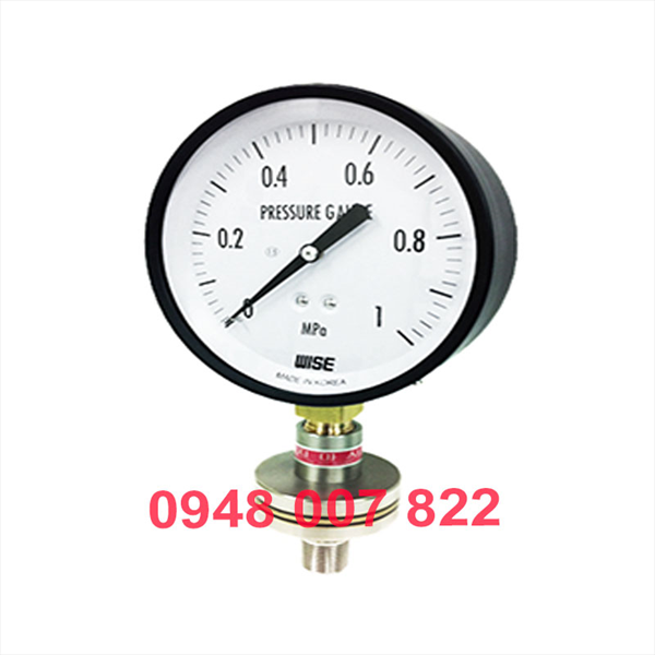 Đồng hồ đo áp suất P170 (WISE)